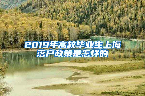 2019年高校毕业生上海落户政策是怎样的