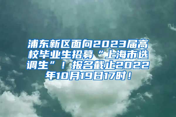 浦东新区面向2023届高校毕业生招募“上海市选调生”！报名截止2022年10月19日17时！