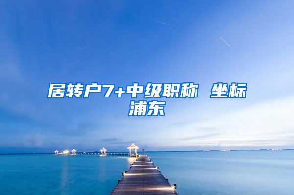 居转户7+中级职称 坐标浦东