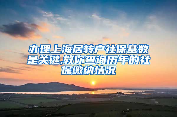 办理上海居转户社保基数是关键,教你查询历年的社保缴纳情况