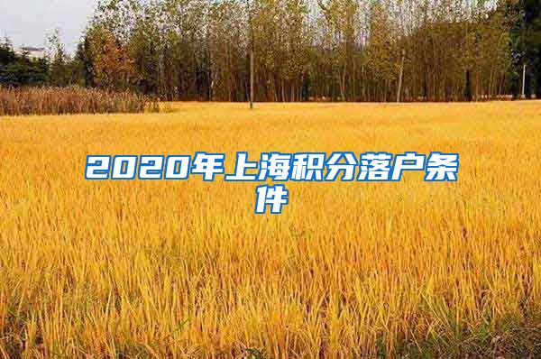 2020年上海积分落户条件