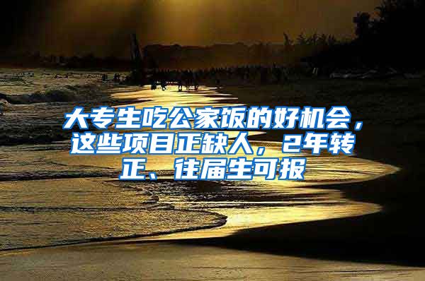 大专生吃公家饭的好机会，这些项目正缺人，2年转正、往届生可报