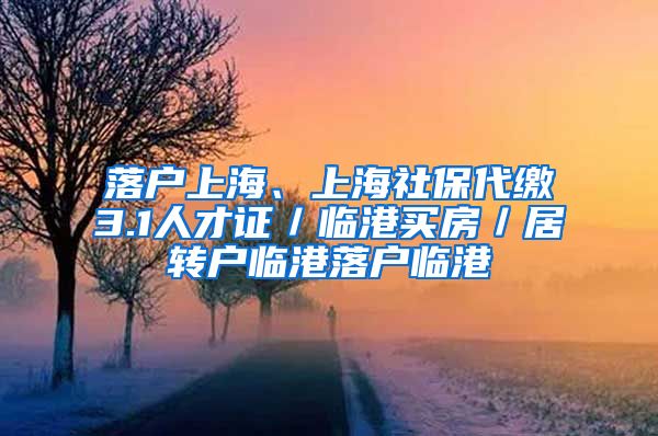 落户上海、上海社保代缴3.1人才证／临港买房／居转户临港落户临港