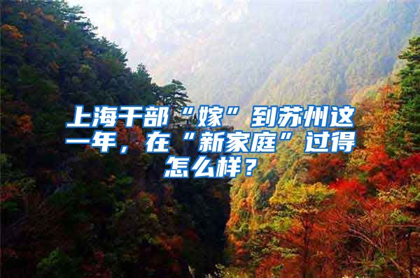 上海干部“嫁”到苏州这一年，在“新家庭”过得怎么样？