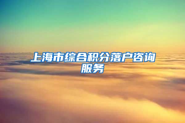 上海市综合积分落户咨询服务