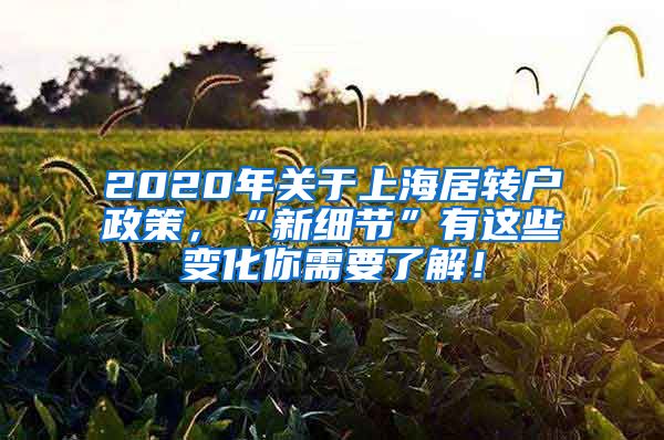 2020年关于上海居转户政策，“新细节”有这些变化你需要了解！