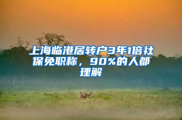 上海临港居转户3年1倍社保免职称，90%的人都理解