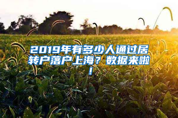 2019年有多少人通过居转户落户上海？数据来啦！