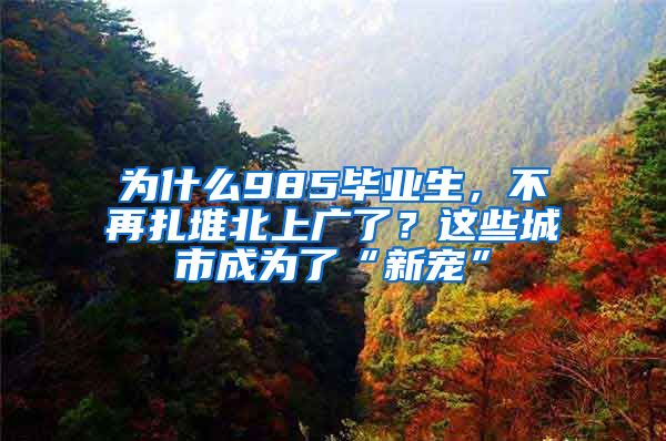 为什么985毕业生，不再扎堆北上广了？这些城市成为了“新宠”