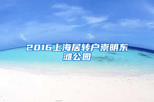 2016上海居转户崇明东滩公园