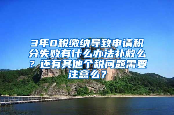 3年0税缴纳导致申请积分失败有什么办法补救么？还有其他个税问题需要注意么？