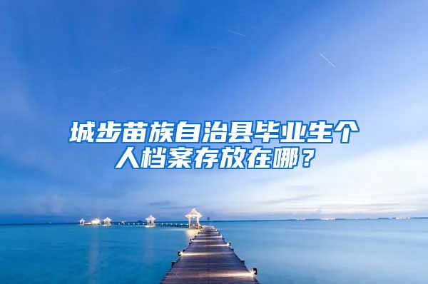 城步苗族自治县毕业生个人档案存放在哪？