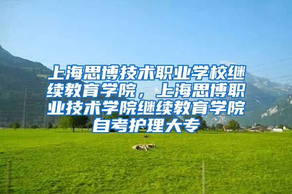 上海思博技术职业学校继续教育学院，上海思博职业技术学院继续教育学院自考护理大专