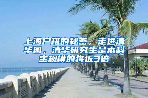 上海户籍的秘密，走进清华园，清华研究生是本科生规模的将近3倍