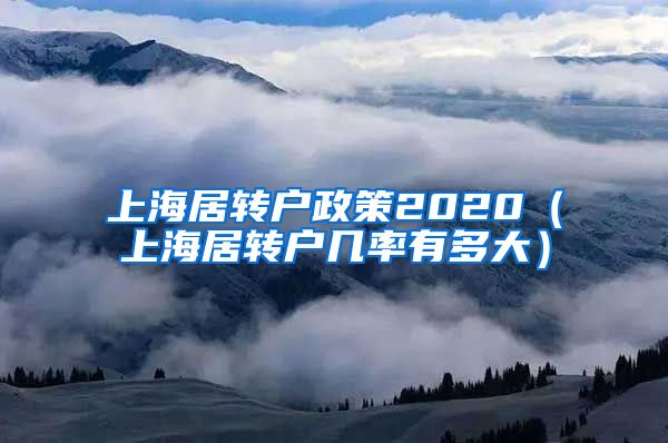 上海居转户政策2020（上海居转户几率有多大）