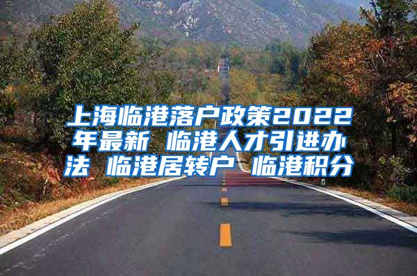 上海临港落户政策2022年最新 临港人才引进办法 临港居转户 临港积分