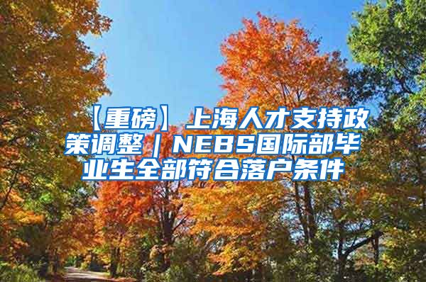 【重磅】上海人才支持政策调整｜NEBS国际部毕业生全部符合落户条件