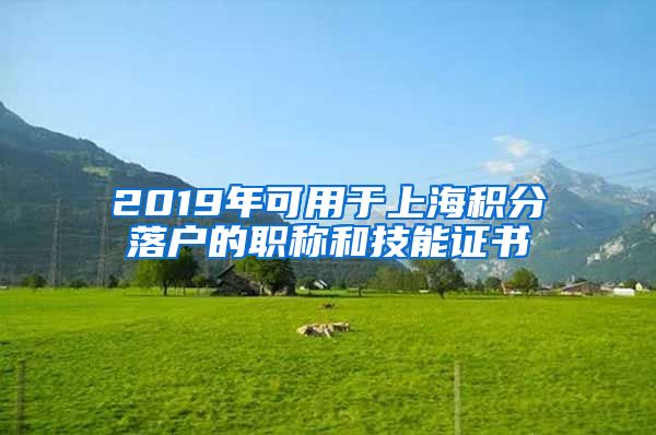 2019年可用于上海积分落户的职称和技能证书