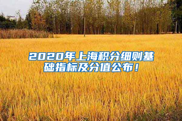 2020年上海积分细则基础指标及分值公布！
