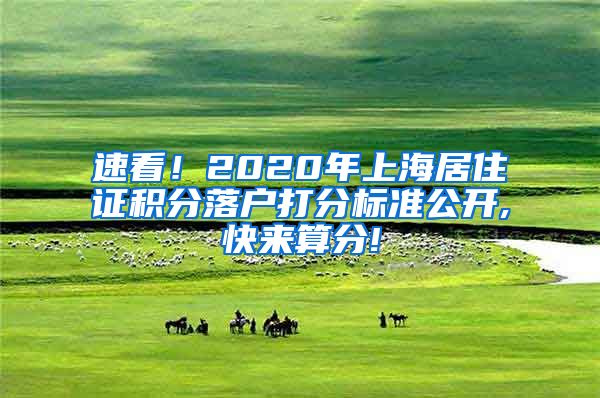 速看！2020年上海居住证积分落户打分标准公开,快来算分!