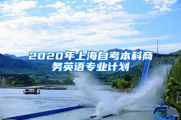 2020年上海自考本科商务英语专业计划