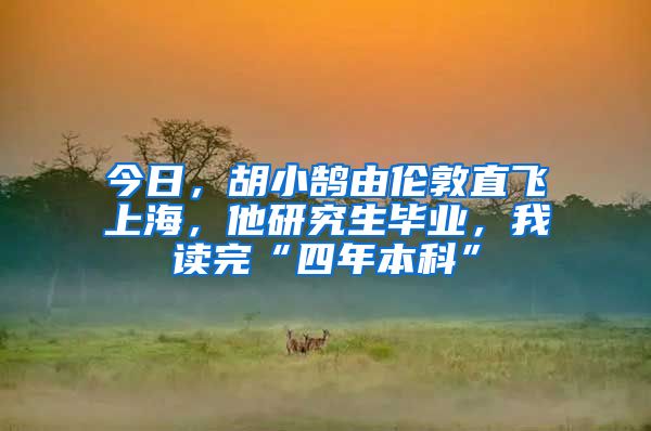 今日，胡小鹄由伦敦直飞上海，他研究生毕业，我读完“四年本科”