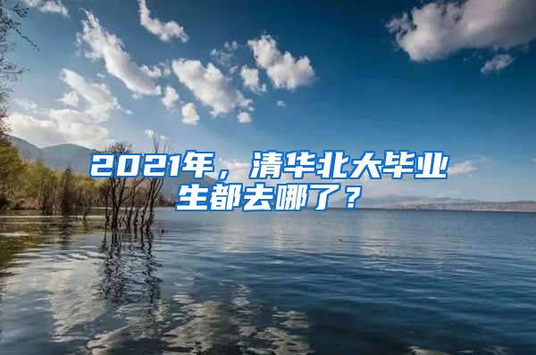 2021年，清华北大毕业生都去哪了？