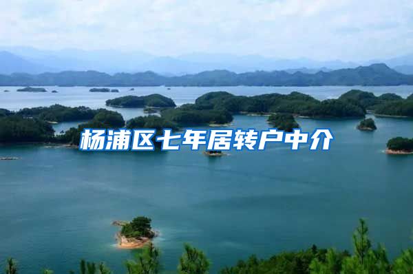 杨浦区七年居转户中介