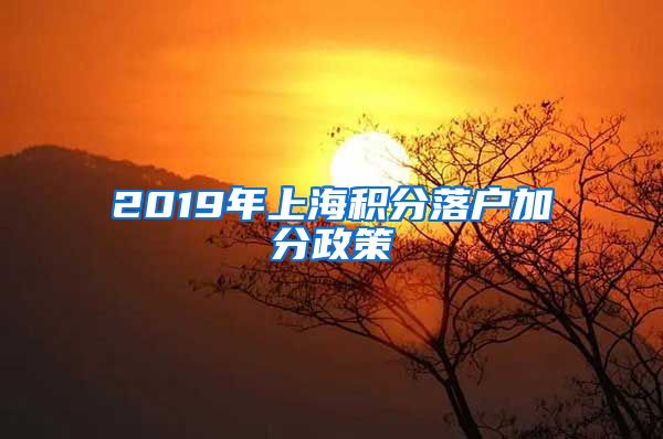 2019年上海积分落户加分政策