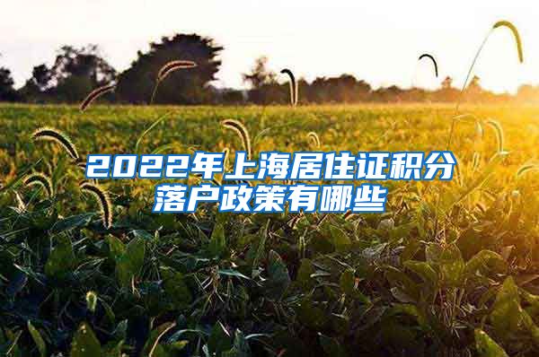 2022年上海居住证积分落户政策有哪些
