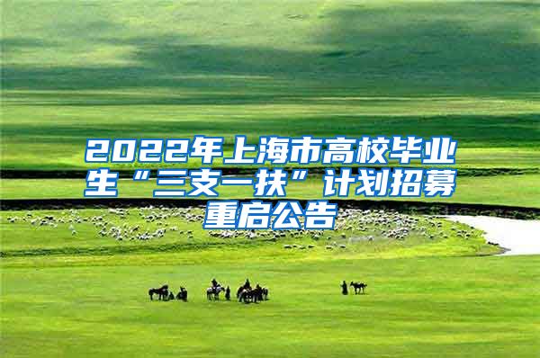 2022年上海市高校毕业生“三支一扶”计划招募重启公告