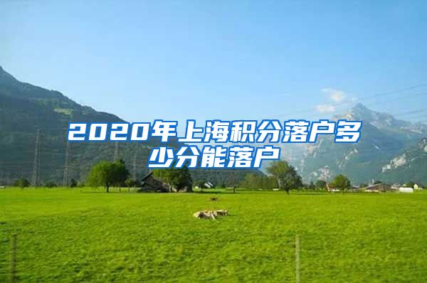 2020年上海积分落户多少分能落户