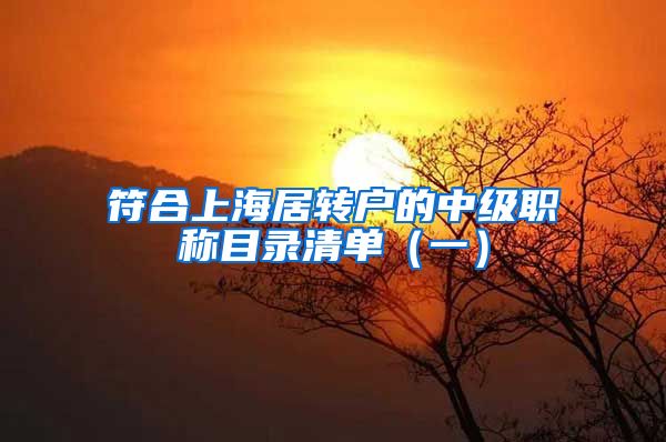 符合上海居转户的中级职称目录清单（一）