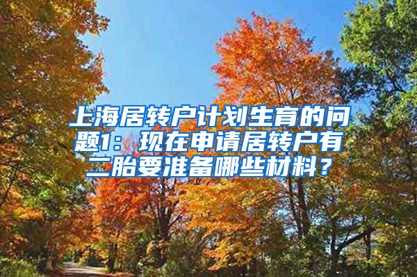 上海居转户计划生育的问题1：现在申请居转户有二胎要准备哪些材料？