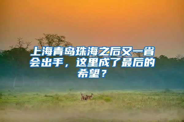 上海青岛珠海之后又一省会出手，这里成了最后的希望？