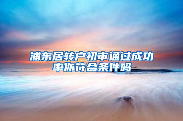 浦东居转户初审通过成功率你符合条件吗