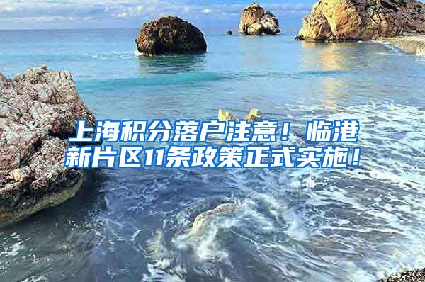 上海积分落户注意！临港新片区11条政策正式实施！