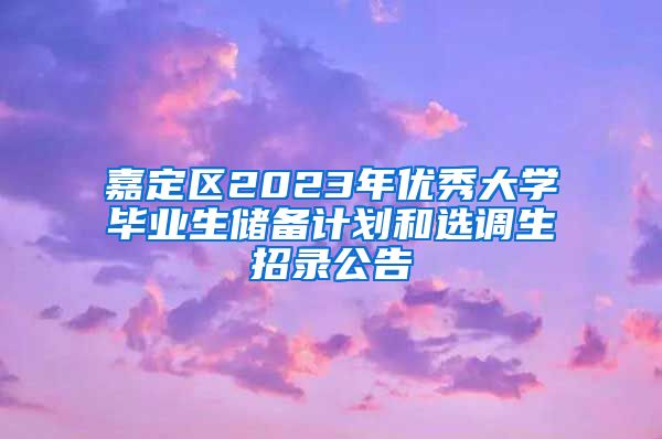 嘉定区2023年优秀大学毕业生储备计划和选调生招录公告