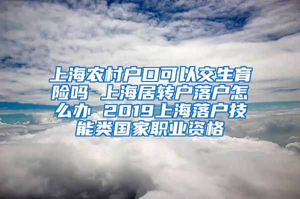 上海农村户口可以交生育险吗 上海居转户落户怎么办 2019上海落户技能类国家职业资格