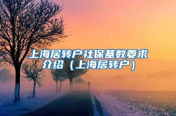 上海居转户社保基数要求介绍（上海居转户）