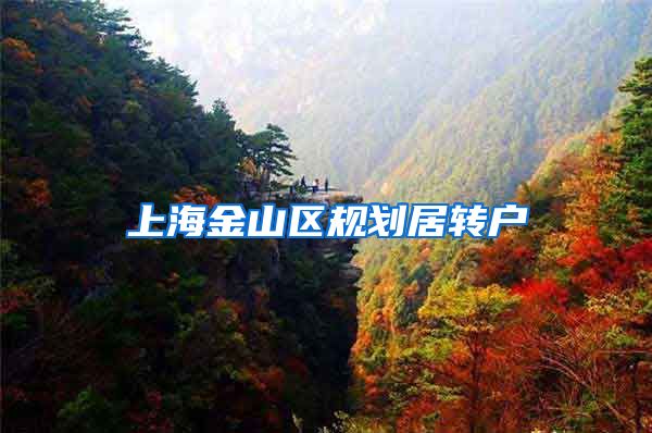 上海金山区规划居转户