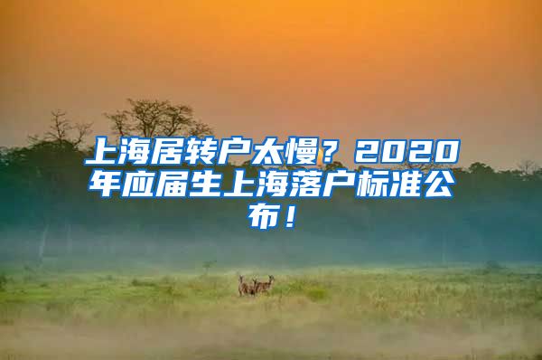 上海居转户太慢？2020年应届生上海落户标准公布！