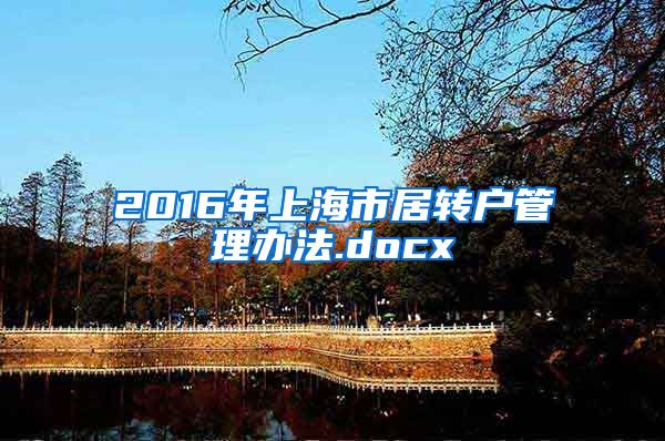 2016年上海市居转户管理办法.docx