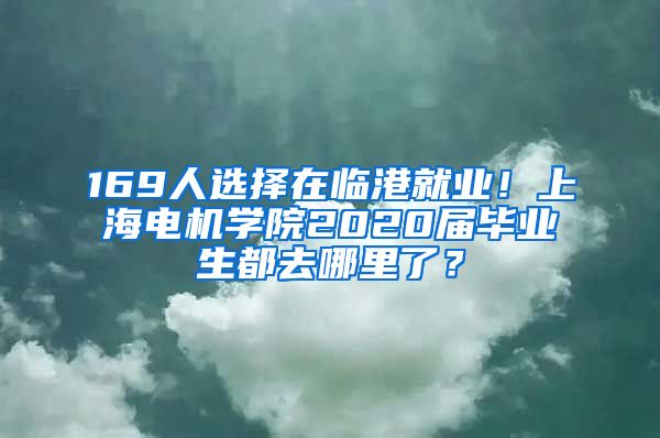 169人选择在临港就业！上海电机学院2020届毕业生都去哪里了？