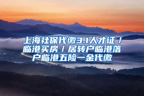 上海社保代缴3.1人才证／临港买房／居转户临港落户临港五险一金代缴