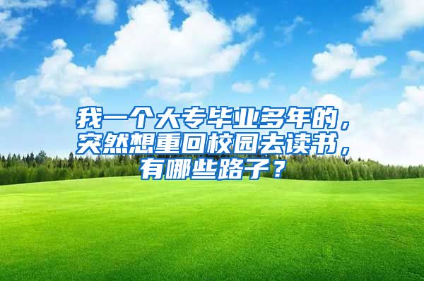 我一个大专毕业多年的，突然想重回校园去读书，有哪些路子？