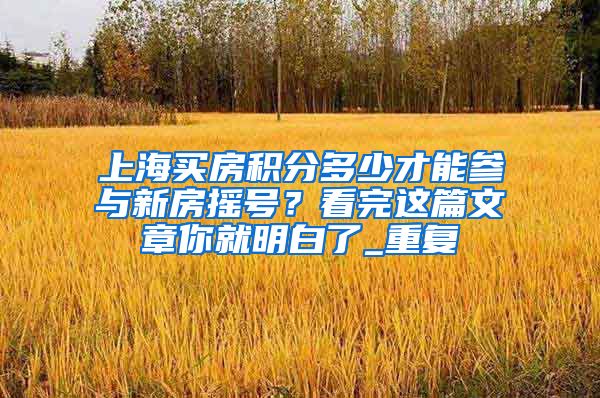 上海买房积分多少才能参与新房摇号？看完这篇文章你就明白了_重复