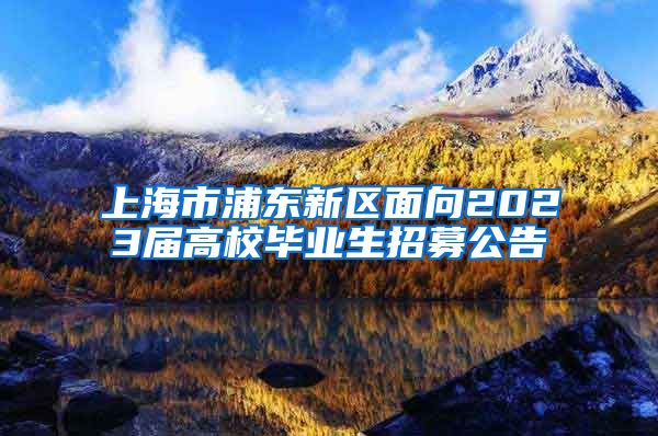 上海市浦东新区面向2023届高校毕业生招募公告