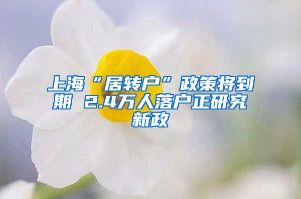 上海“居转户”政策将到期 2.4万人落户正研究新政