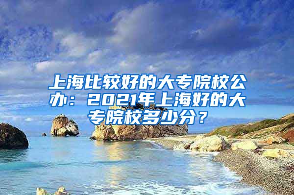 上海比较好的大专院校公办：2021年上海好的大专院校多少分？